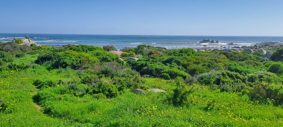 0 Bedroom Property for Sale in Jacobsbaai Western Cape